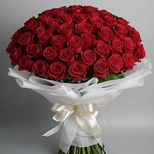 Букет 101 Красная роза Блэк Мэджик в Гайдуке