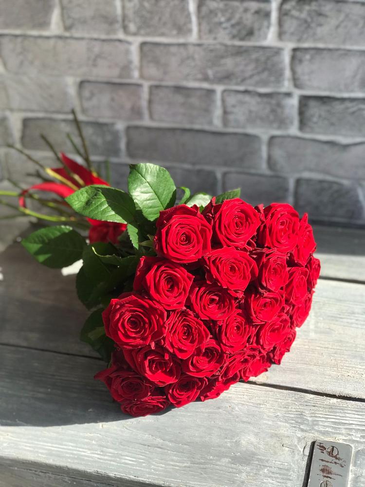 Букет Красные розы Фридом в Гайдуке