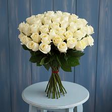 Букет 51 Белая роза Эдлесс Лав в Гайдуке