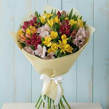 Букет цветов из:  Альстромерии в Гайдуке