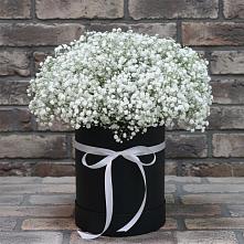 Цветочная композиция из Гипсофила в шляпной коробке в Гайдуке