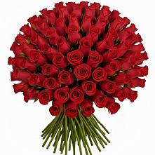 Букет Красные розы Чери Лав #REPLACE_PRED# Гайдуке