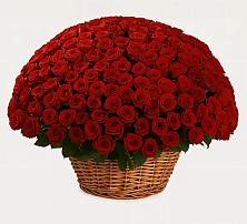 Премиум букет из: Розы в Гайдуке